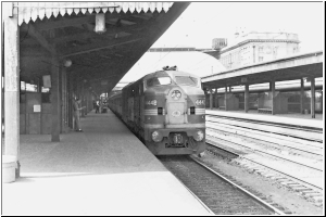 Central 4442.jpg